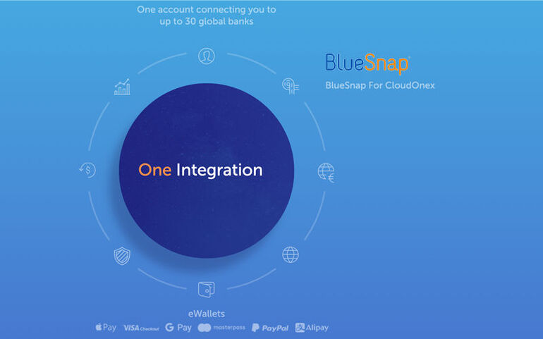 BlueSnap
