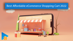 10 Best Affordable eCommerce Shopping Cart 2022 - Must-read for Beginners