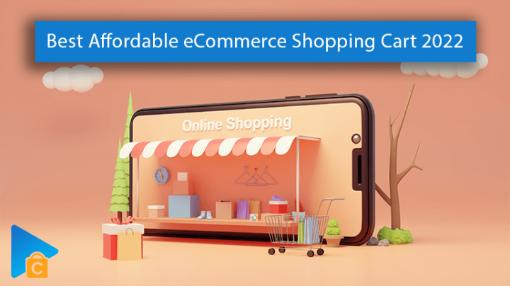 10 Best Affordable eCommerce Shopping Cart 2022 - Must-read for Beginners