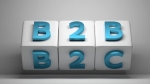 Key Differences Between B2B And B2C: What Are They?