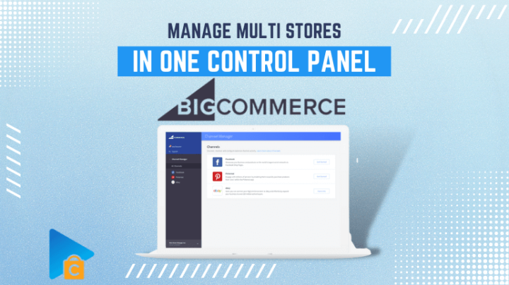 BigCommerce Multi-Storefront - Manage Multiple Stores Within One Control Panel